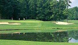 The Woods Resort Stony Lick Course